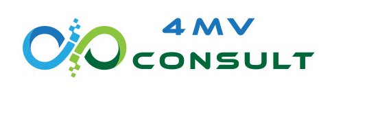 4MV Consult